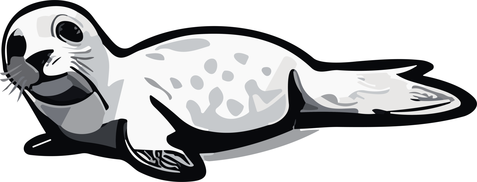 Seal Enchantment Captivating Charms of the Sea AI generative png