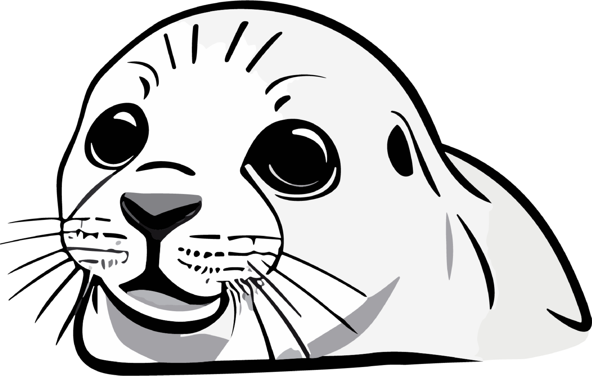 Seal Enchantment Captivating Charms of the Sea AI generative 27510420 PNG