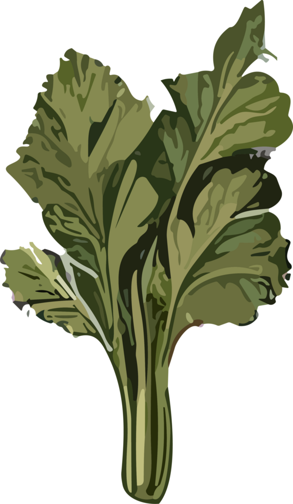 Culinary Artistry Exploring the Beauty of Healthy Vegetable Imagery AI generative png