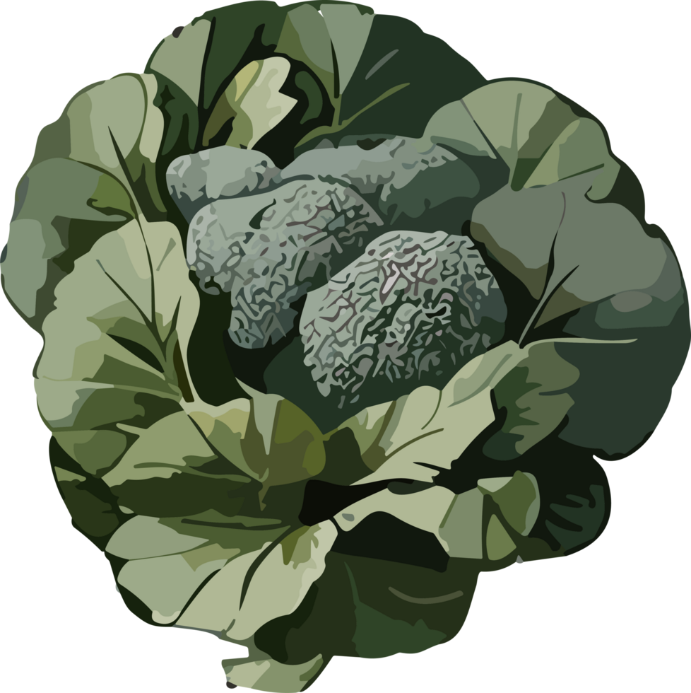 Culinary Artistry Exploring the Beauty of Healthy Vegetable Imagery AI generative png