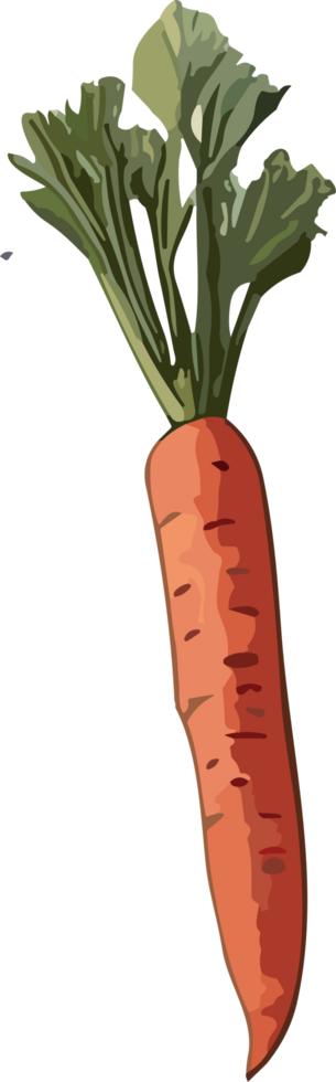 Culinary Artistry Exploring the Beauty of Healthy Vegetable Imagery AI generative png