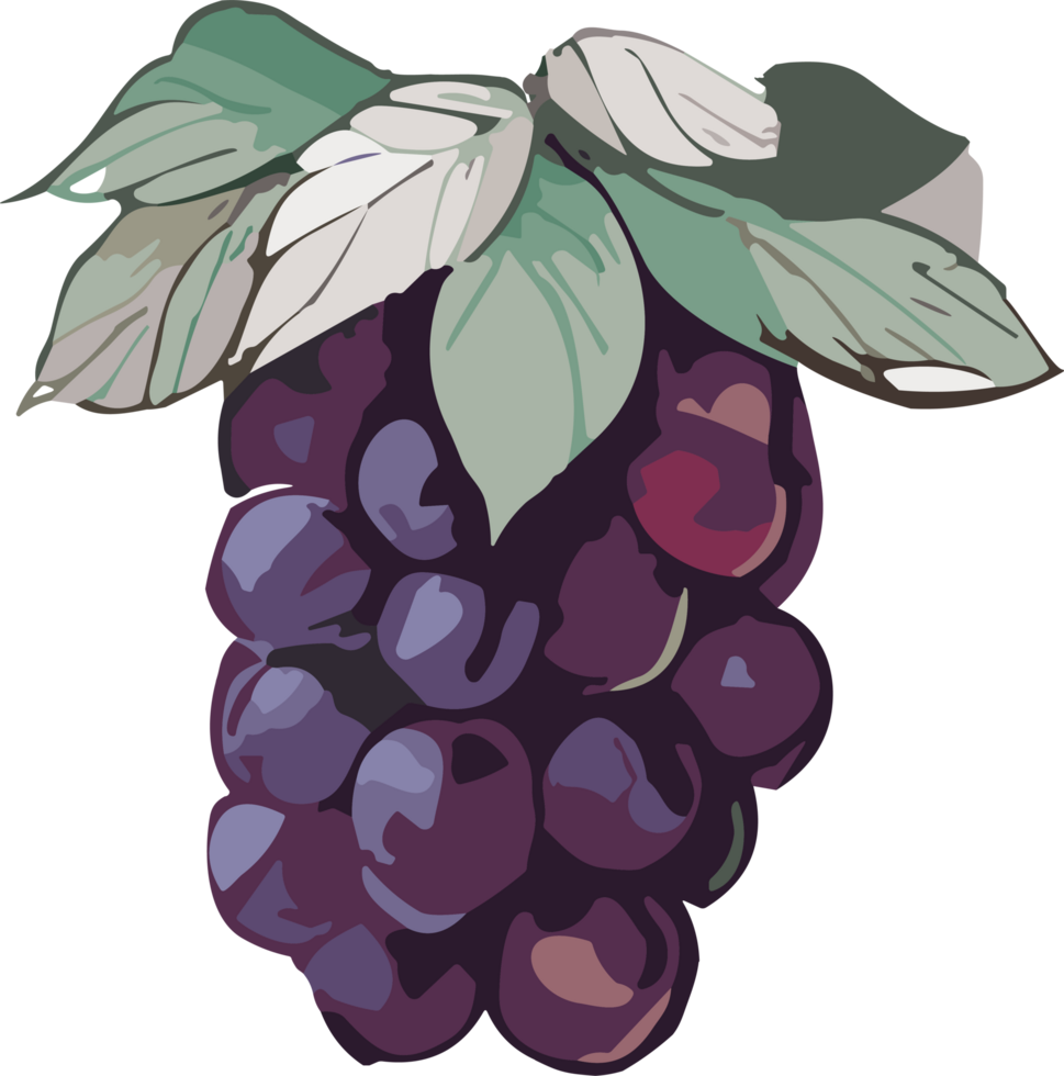 Culinary Artistry Exploring the Beauty of Healthy Fruit Imagery AI Generative png