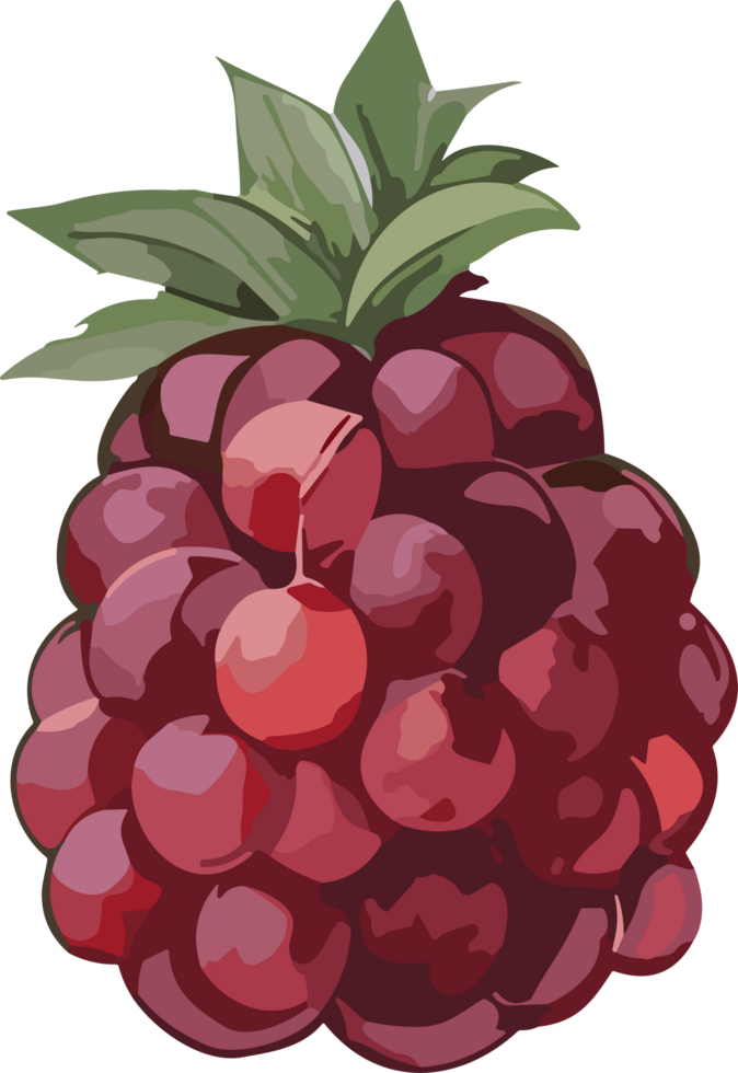 Culinary Artistry Exploring the Beauty of Healthy Fruit Imagery AI Generative png