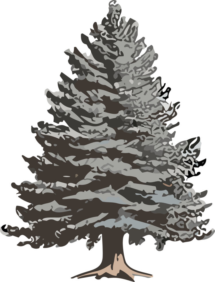 Pine Tree Reverie A Visual Voyage into Natural Harmony AI generative png