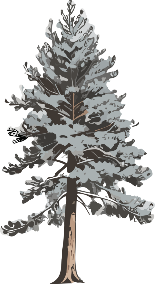 Pine Tree Reverie A Visual Voyage into Natural Harmony AI generative png