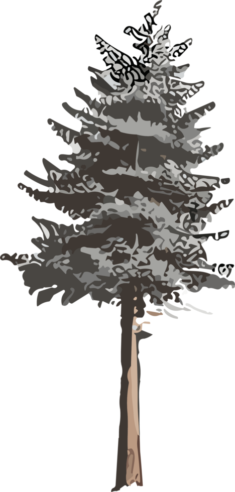 Pine Tree Reverie A Visual Voyage into Natural Harmony AI generative png