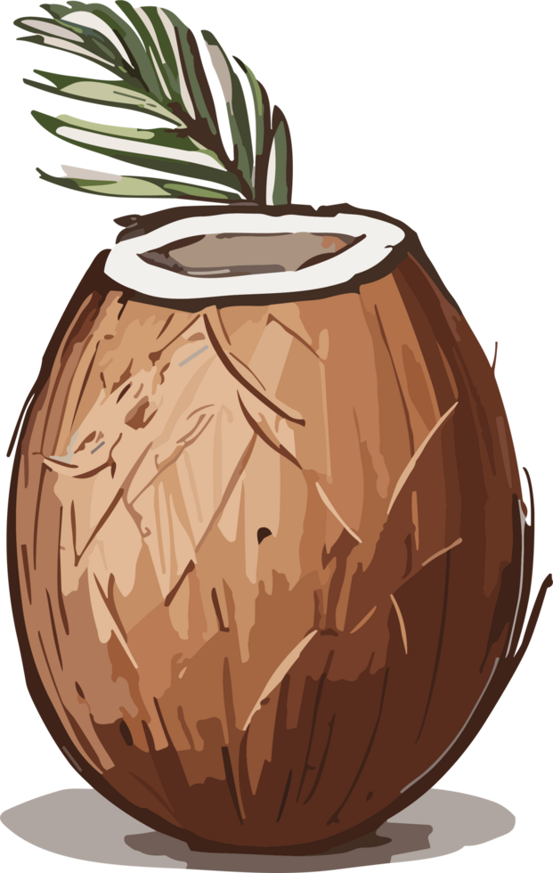 Nature's Bounty Coconut Artistry for Your Collection AI generative png