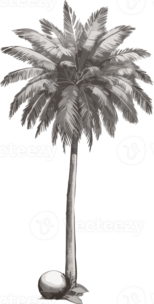 Palms of Peace Coconut Tree Artistry to Enrich Your Space AI Generative png