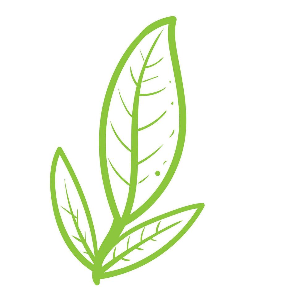 Leaf of floral Leaves spring for beauty branding Trendy outline symbols for mobile apps and website design. Premium pack of icons in trendy line style. vector