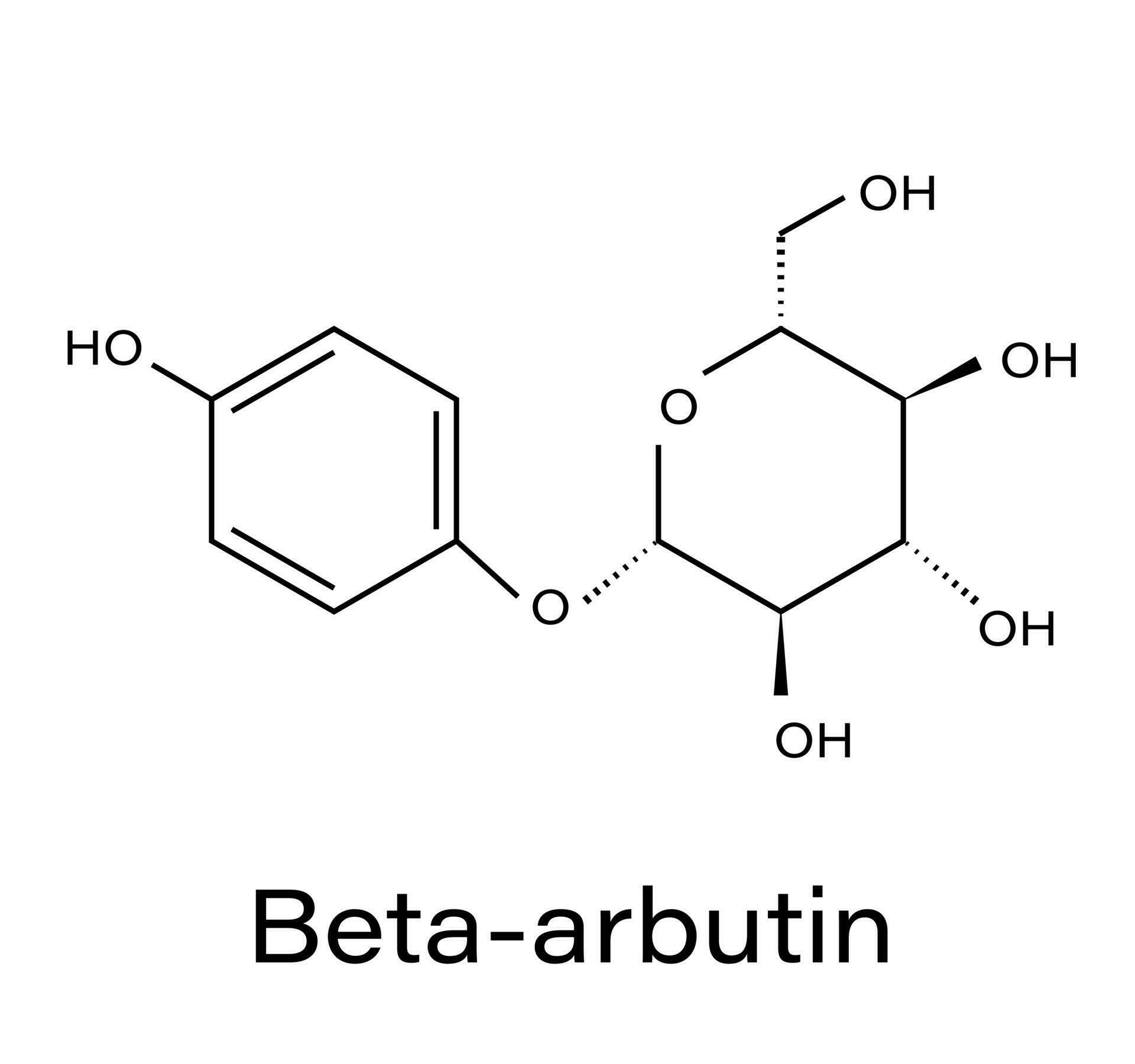 betaarbutina planta molecular estructura vector ilustración