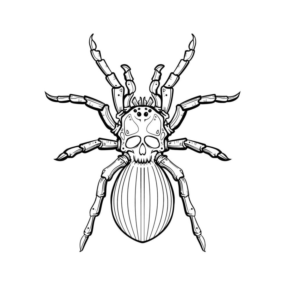 hand drawn line art spider and skull vector