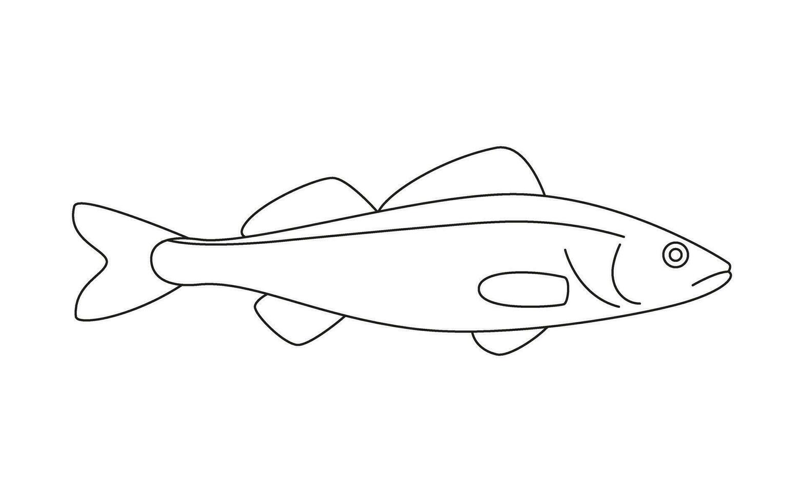 lucioperca pescado línea arte, marina lucioperca, lubina, Mariscos y submarino color animal. agua delicadeza, gastrónomo. pesca. colorante para niños. vector ilustración aislado en blanco antecedentes