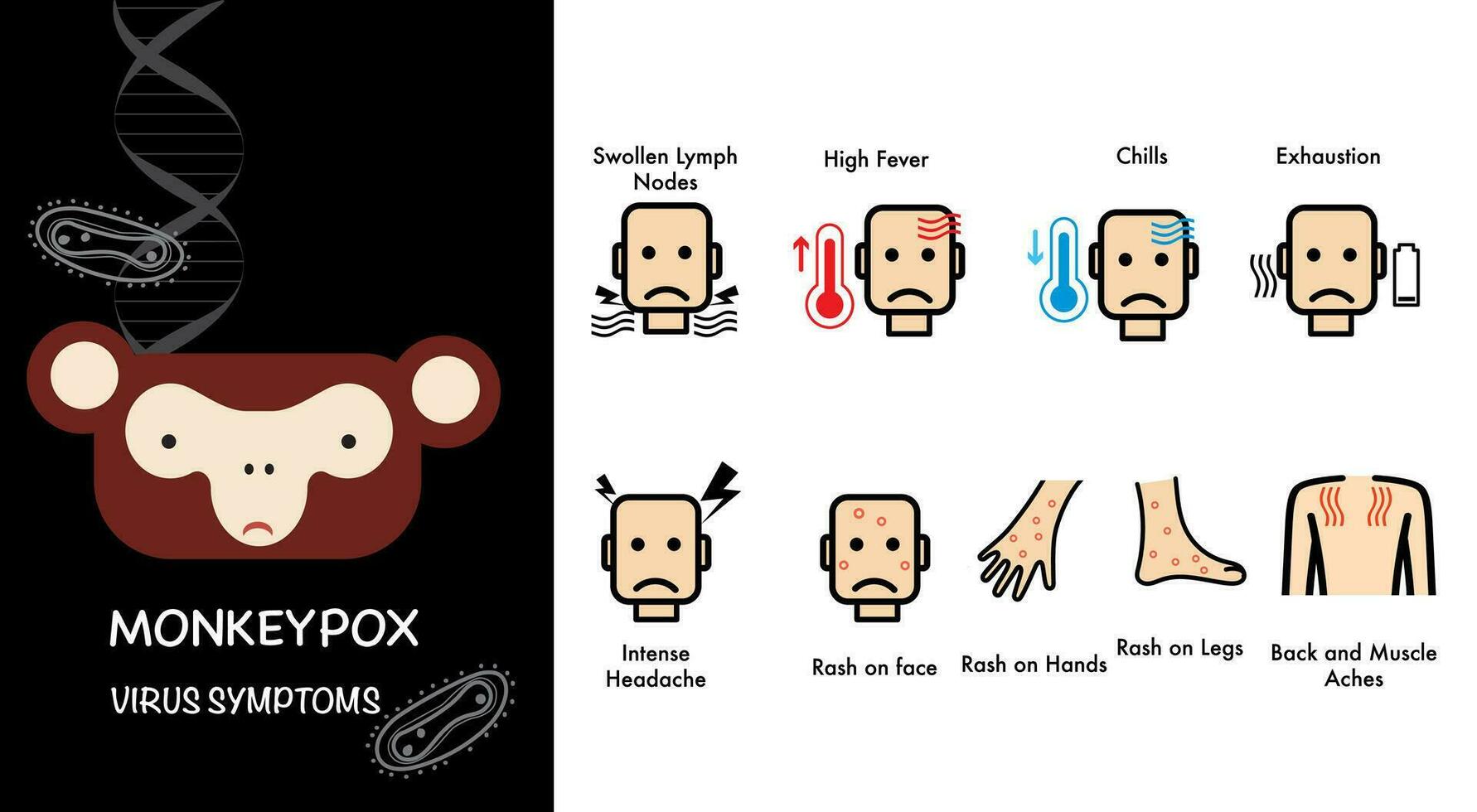 monkeypox virus symptoms pandemic Infographic chart vector