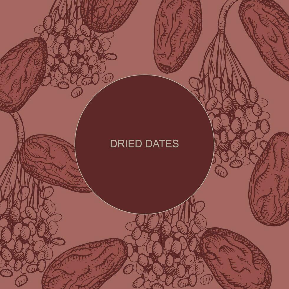 Dates dried fruit label template background for text. Edible date palm fruits hand drawn vector illustration for template, print, label, logo, card, banner.Organic food oriental sweets, design element