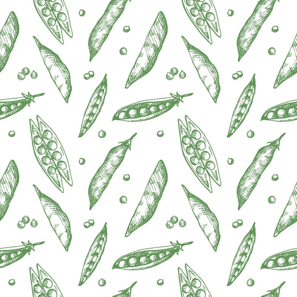 Pea plants seamless pattern. Background with peas and grains drawing. Hand drawn decorative ornament for packaging design, label, print, backdrop, card, template. Vector illustration design element