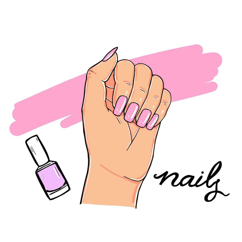 Vector sketch of a female hand with pink nails. Female hand manicure