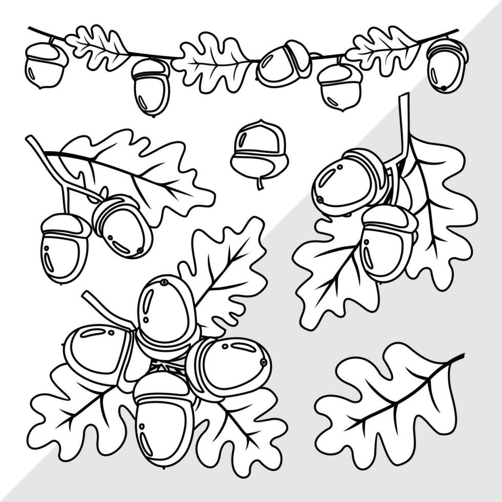 Acorns and oak leaves set. Black outline. Coloring book. Illustrated vector clipart.