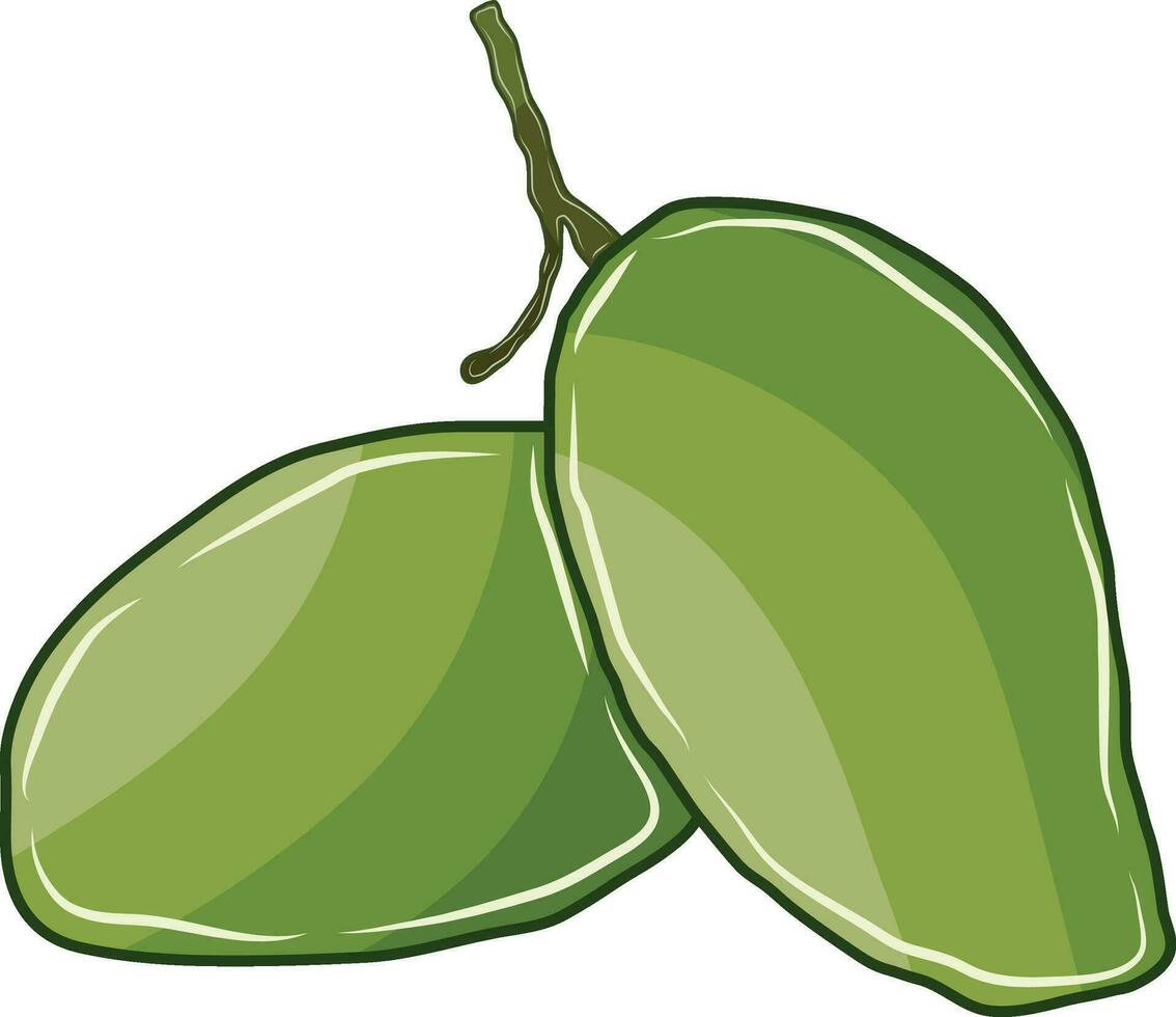 Two green mango fruits together vector