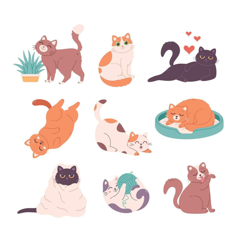 Cute cat characters collection. Cats doing various feline activities, playing, sleeping, lying, sitting vector