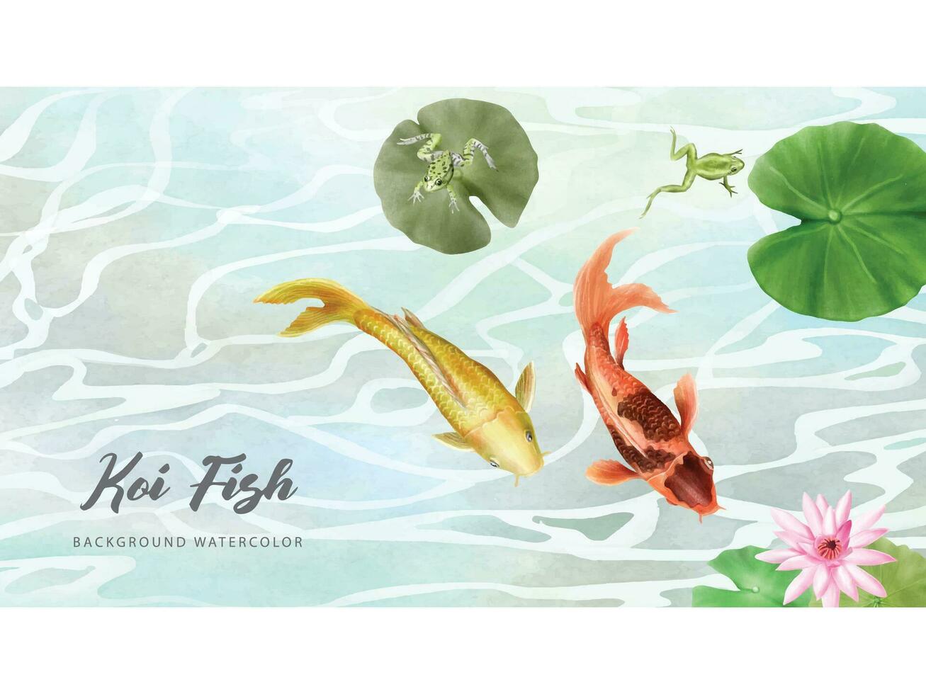 beautiful koi fish watercolor background vector