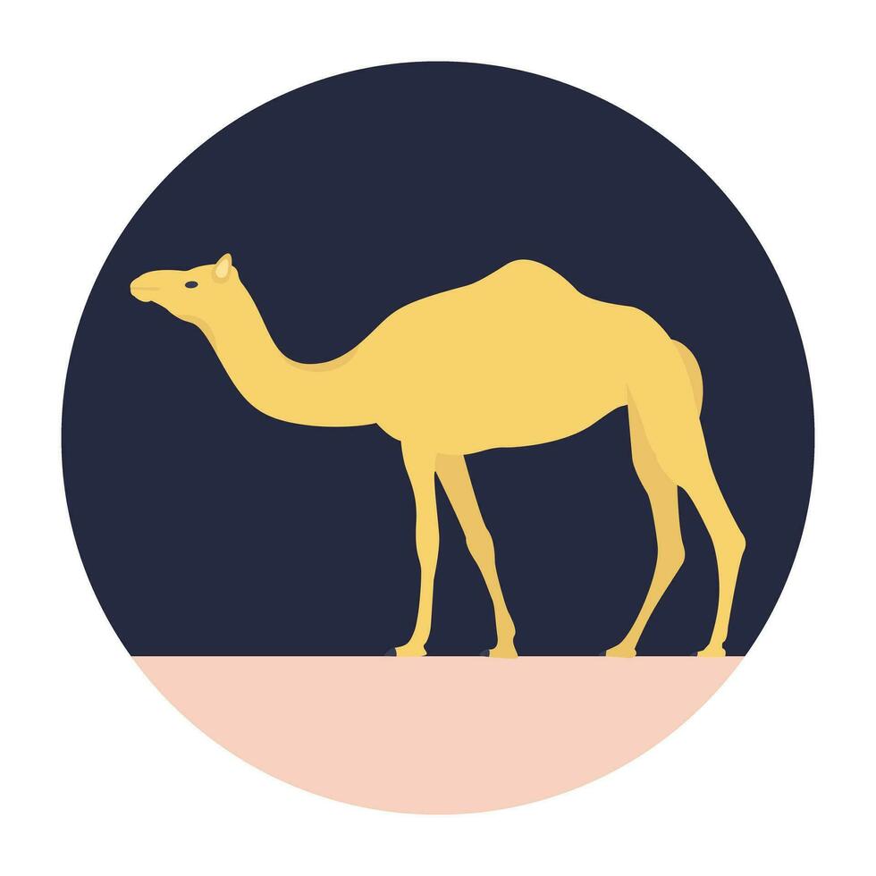 Camel, a large, long-necked ungulate mammal of arid country, with long slender legs, broad cushioned feet and either one or two humps on the back vector