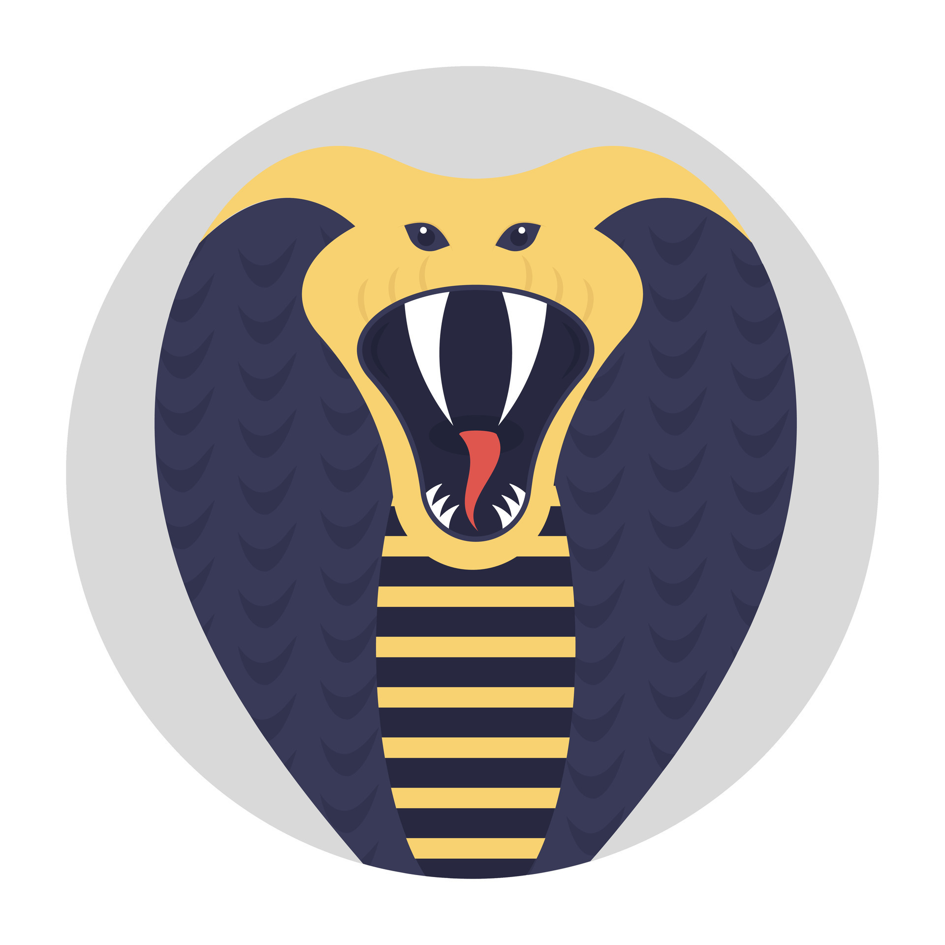 King cobras are large snake, called the king cobra because they can