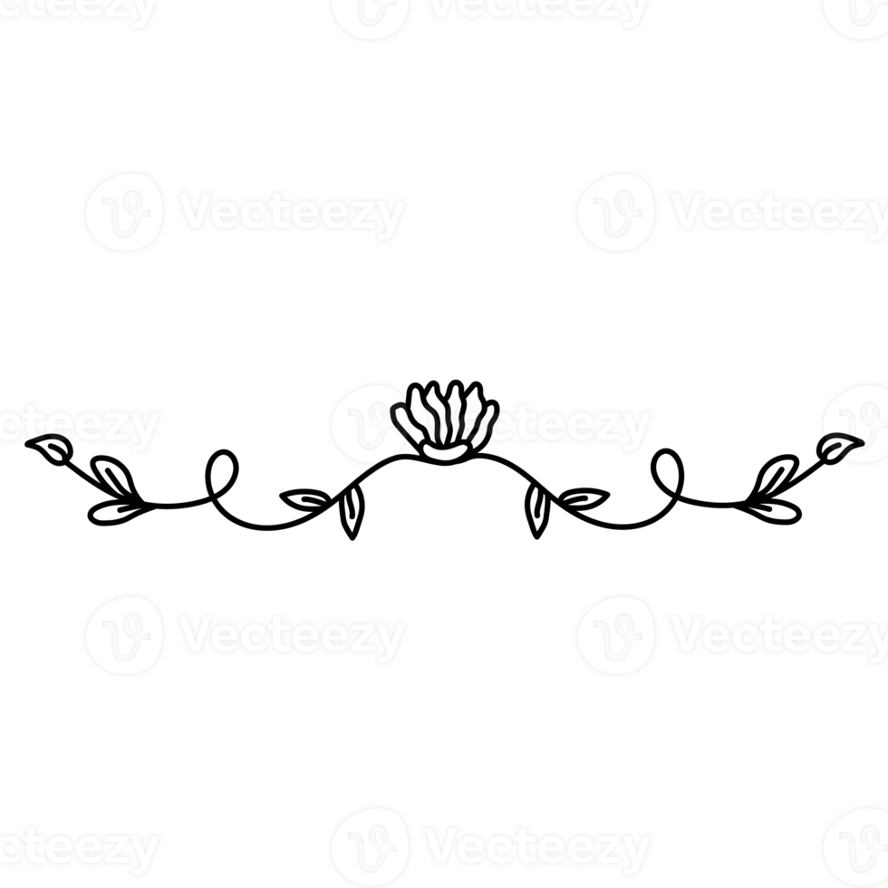 flower drawing line png