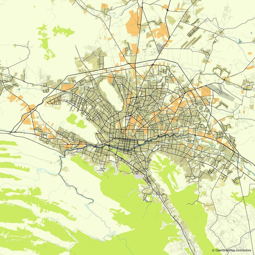 Vector city map of Monterrey, Nuevo Leon, Mexico