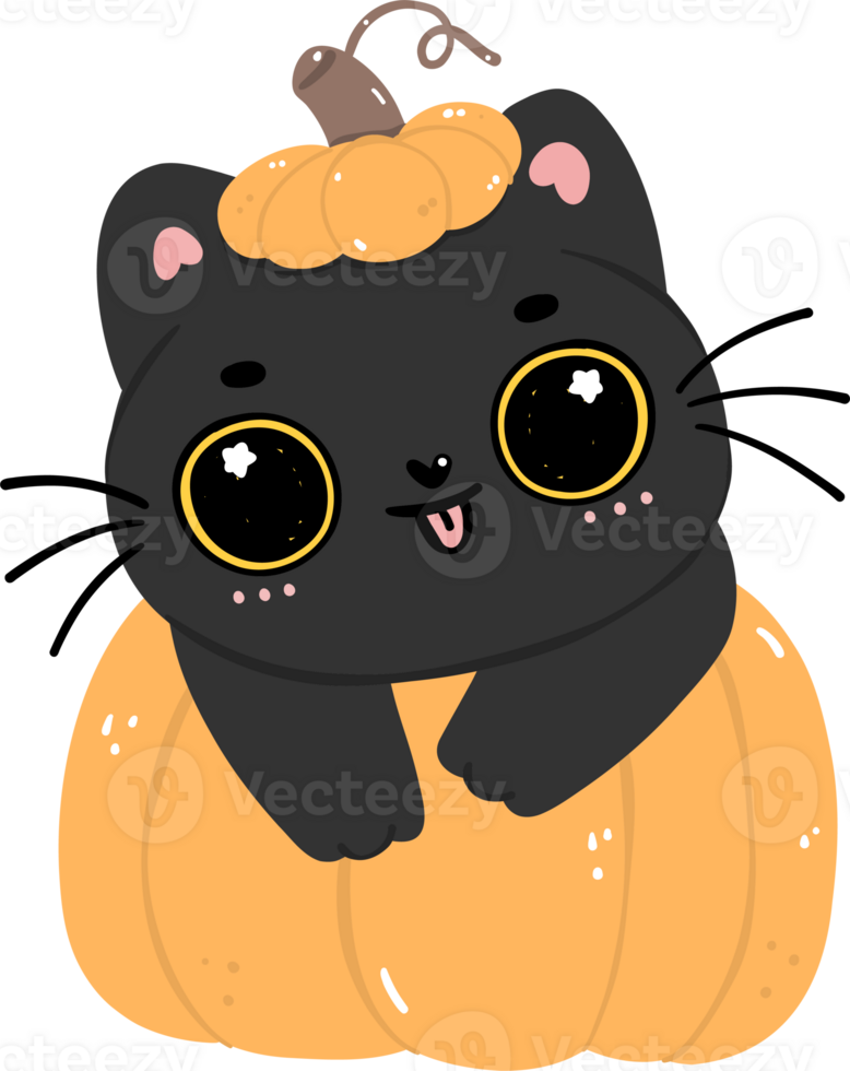 söt halloween katt, läskigt svart katt tecknad serie illustration png