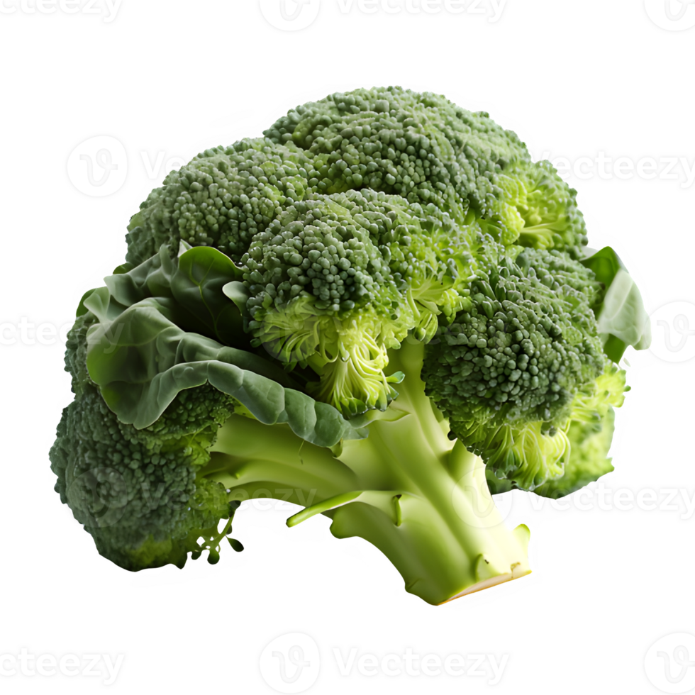 broccoli isolated on transparent background ,Cut out green broccoli vegetable ,generative ai png