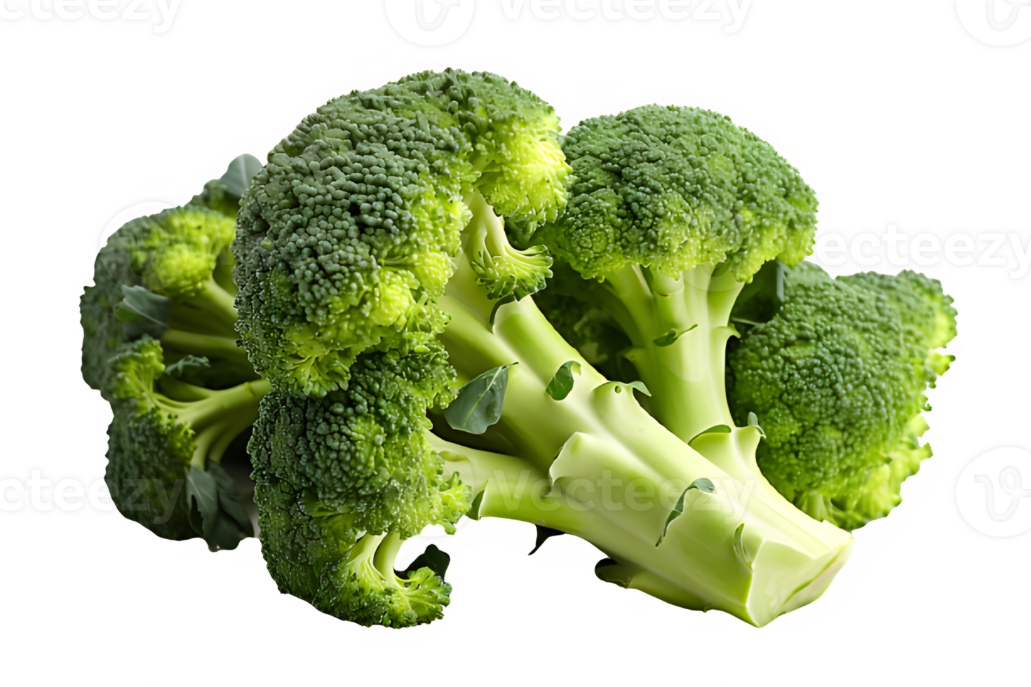 broccoli isolated on transparent background ,Cut out green broccoli vegetable ,generative ai png