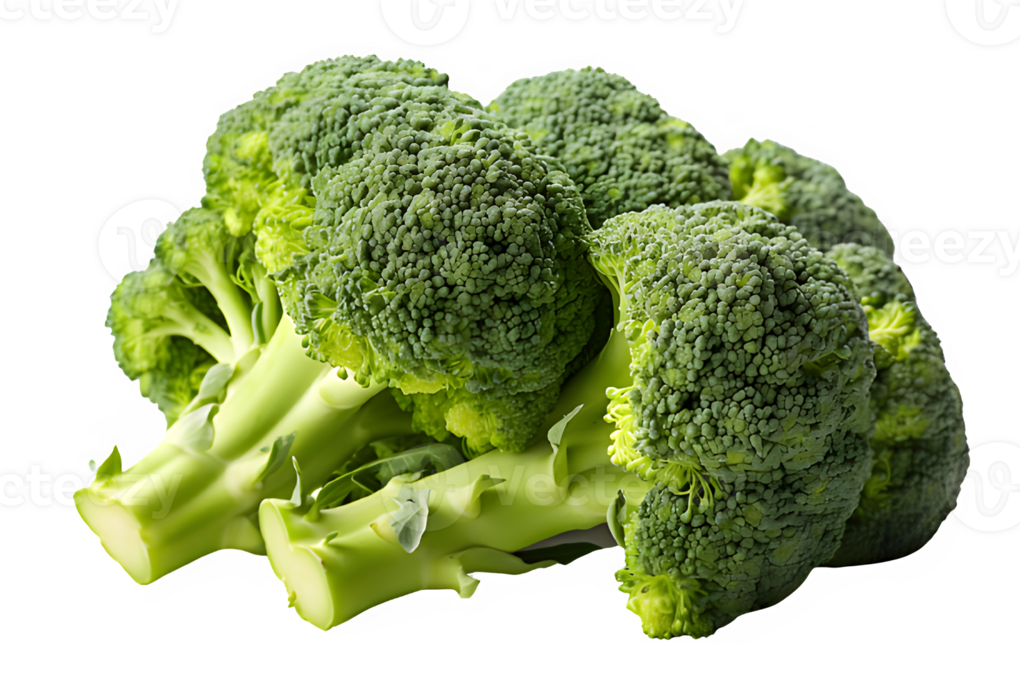 broccoli isolated on transparent background ,Cut out green broccoli vegetable ,generative ai png