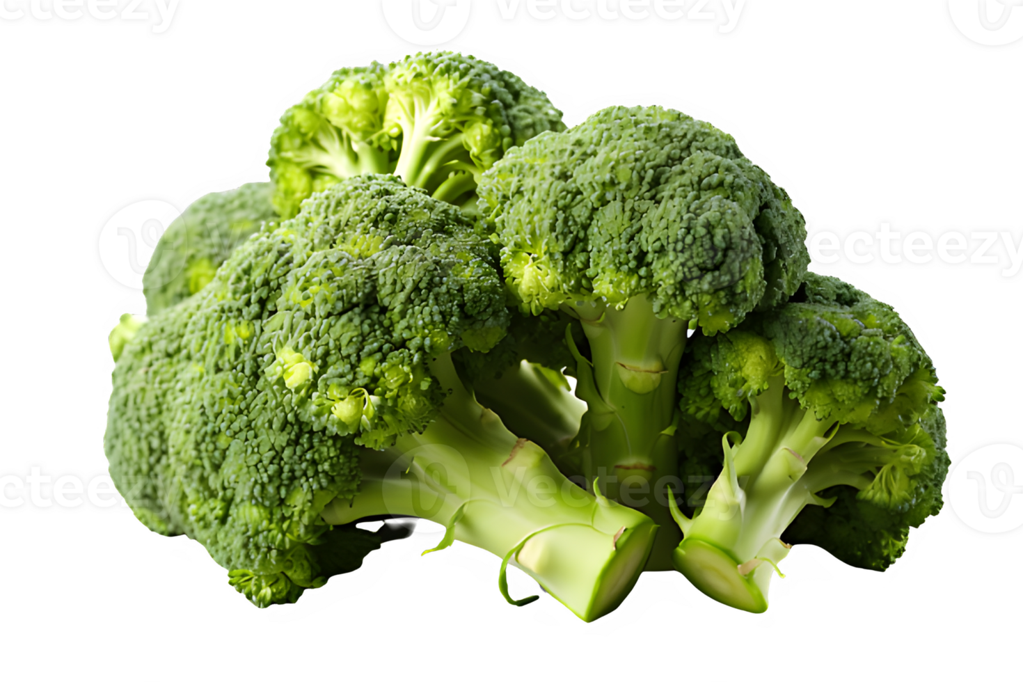 broccoli isolated on transparent background ,Cut out green broccoli vegetable ,generative ai png