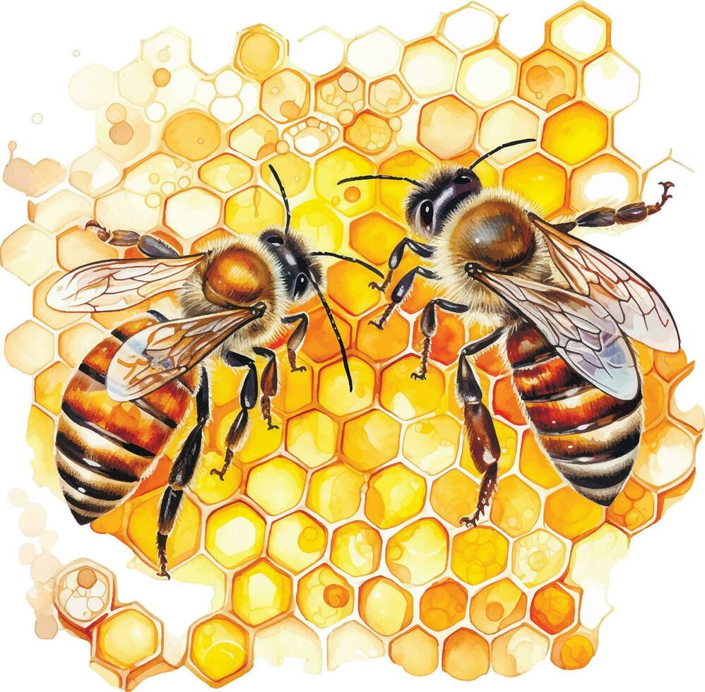 watercolor drawing. honeycombs and bees. illustration on the theme of beekeeping, farming, natural products vector