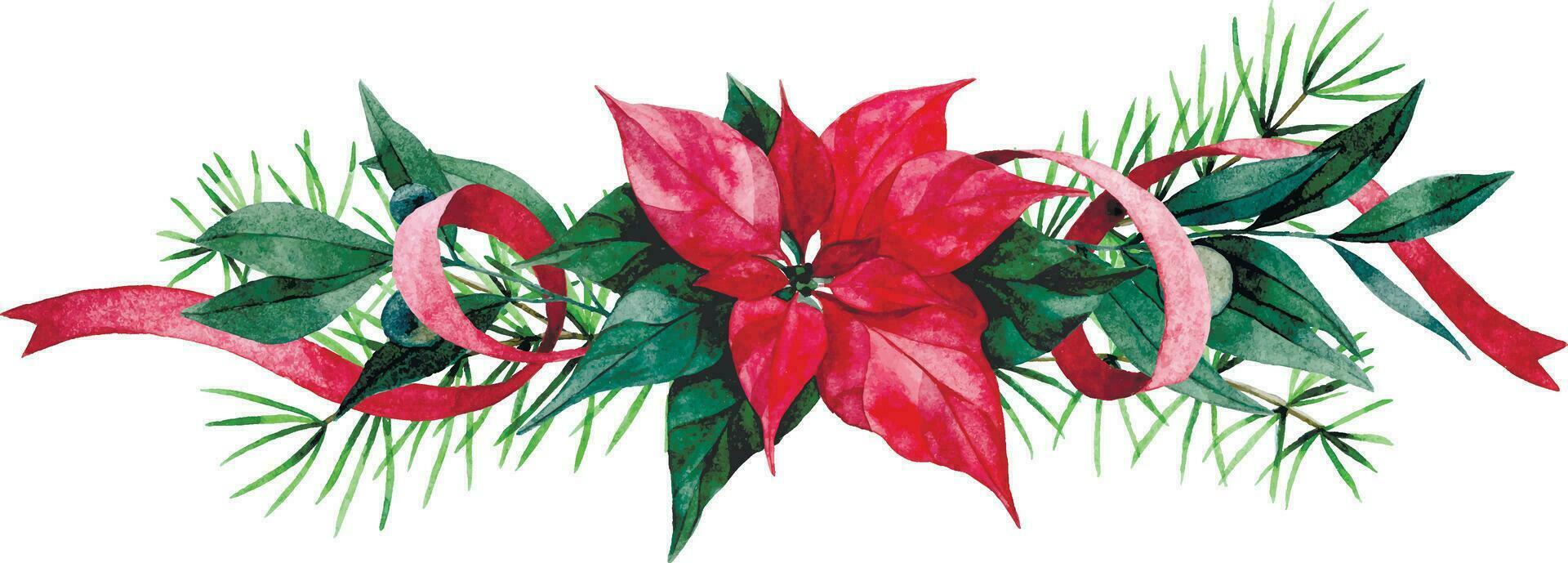 watercolor drawing, christmas garland from plants. red poinsettia flower, berries, cones and fir branches. traditional winter decoration for christmas and new year vector