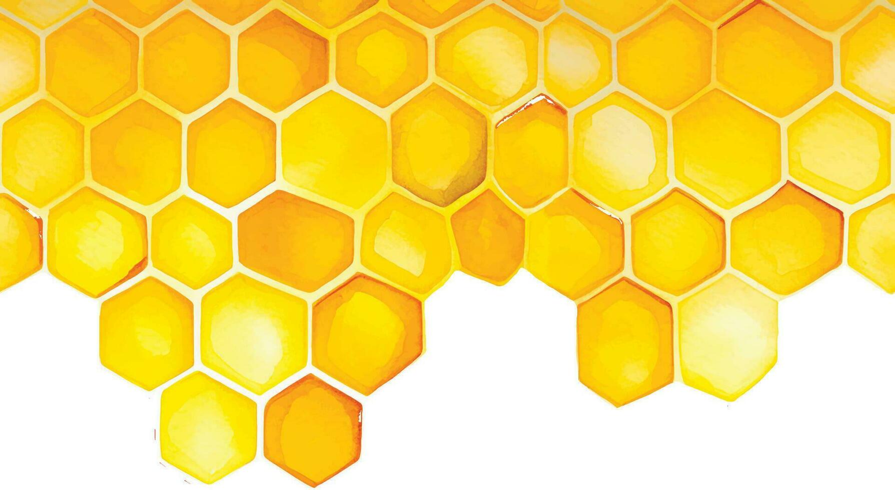 seamless background, honeycomb border. yellow honeycomb watercolor hand drawing. isolated on white background. pattern for design, banner, place for an inscription. cute drawing farming, bee vector