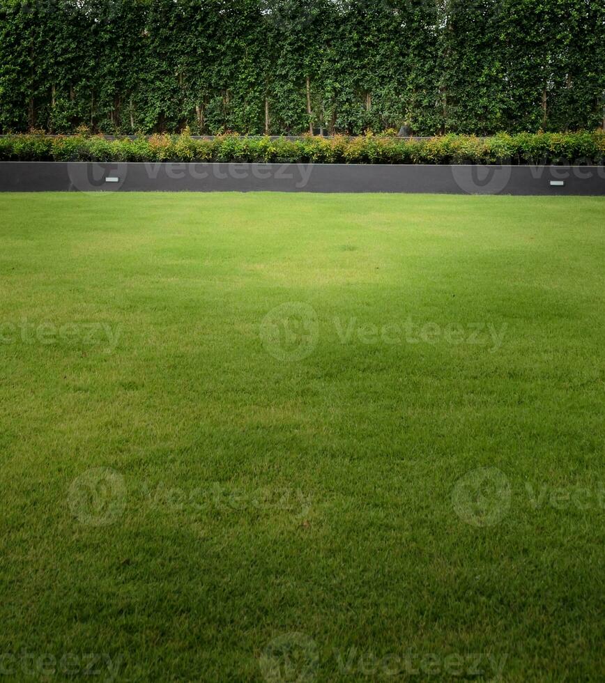 decorativo jardín pared con verde césped foto