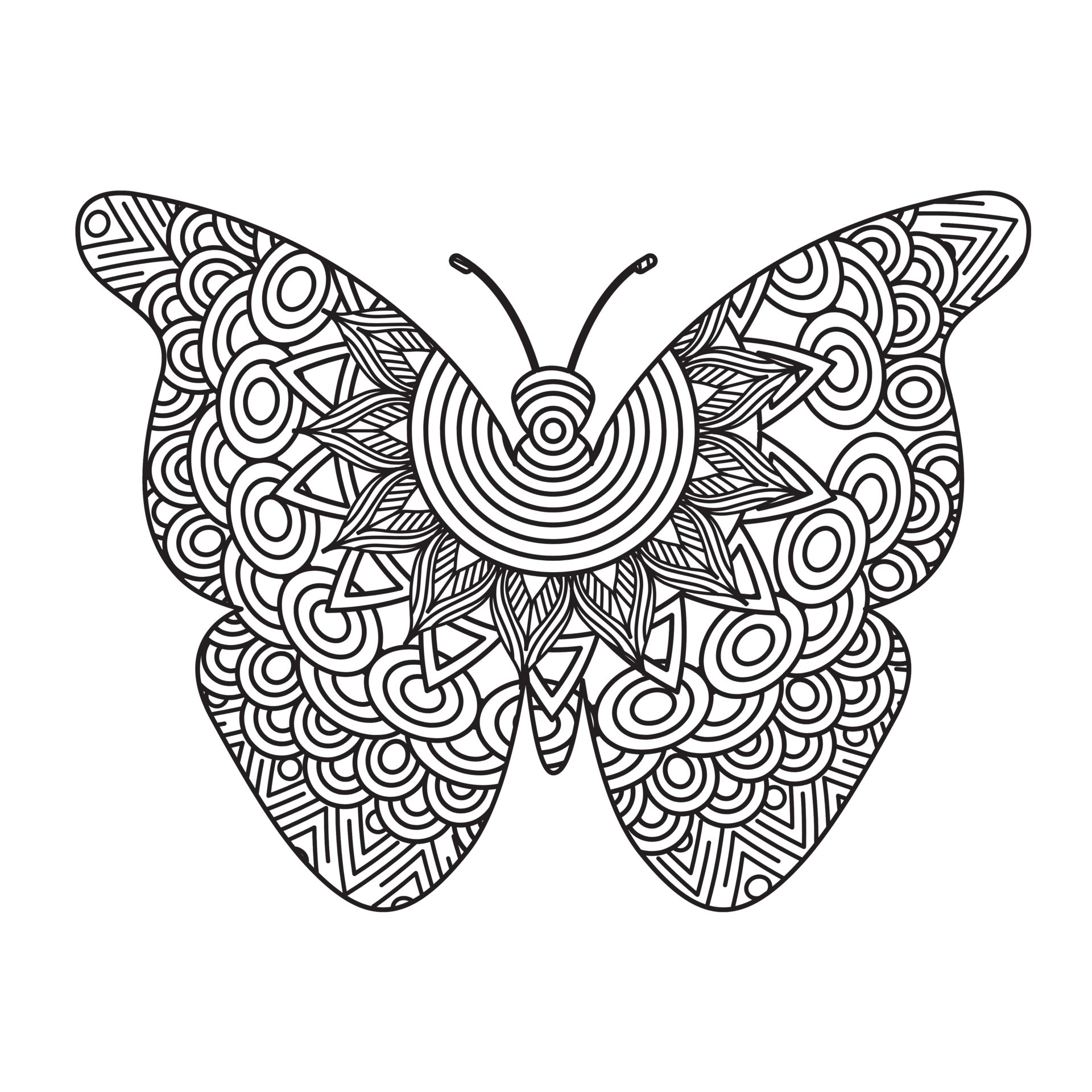 butterfly, butterfly back, butterfly white, Monochrome Butterfly