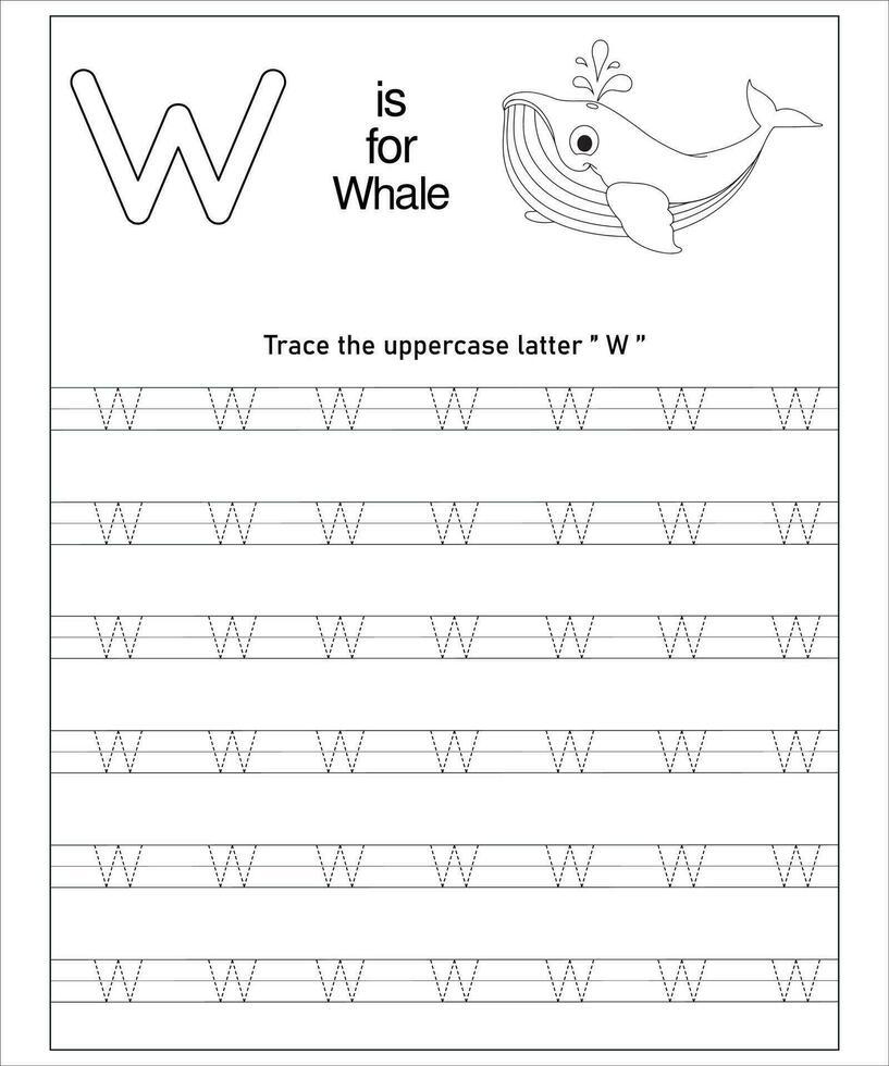 trazado de letras del alfabeto vector