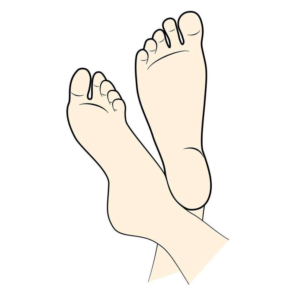 Line drawing of the left and right foot soles. Bottom of feet. Vector flat illustration on white background. Editable stroke.