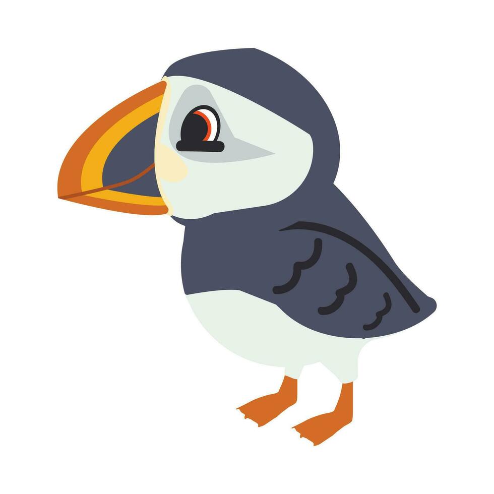 atlántico frailecillo pájaro dibujos animados animal vector