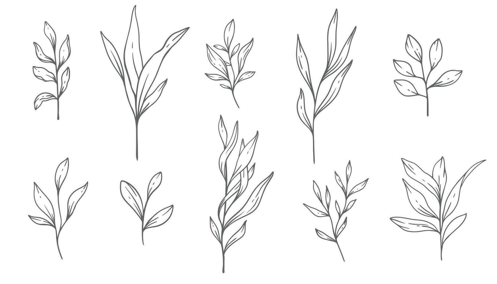 verdor línea arte, multa línea hojas mano dibujado ilustración. botánico colorante página. contorno hojas aislado en blanco vector