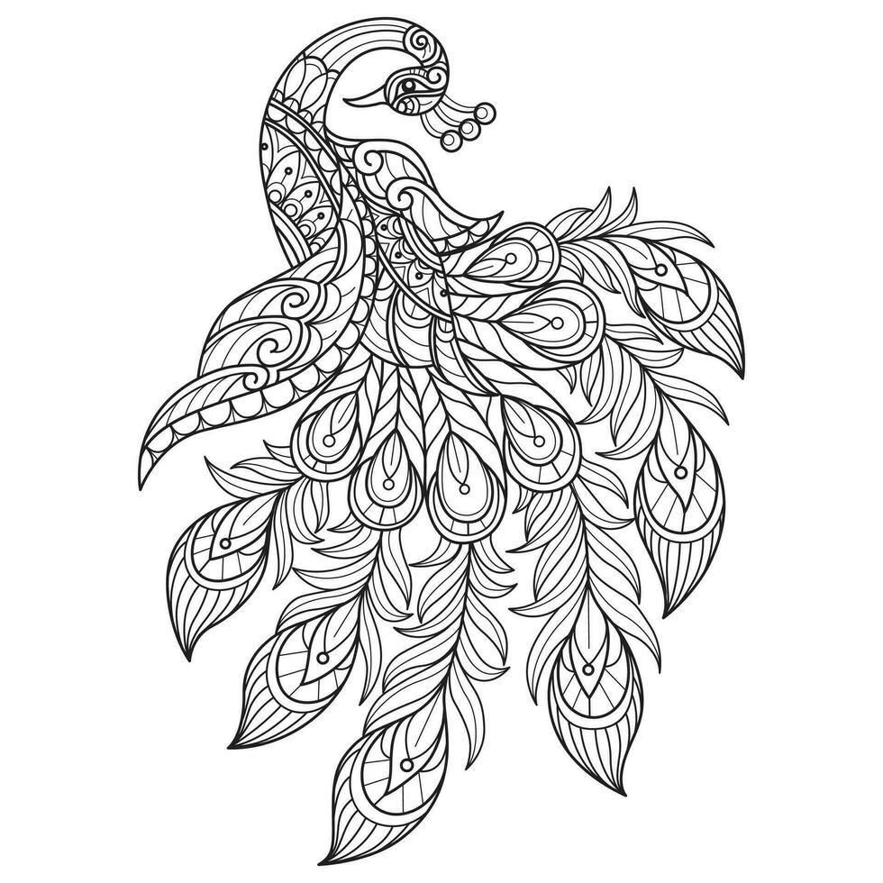 lindo pavo real dibujado a mano para un libro de colorear para adultos vector