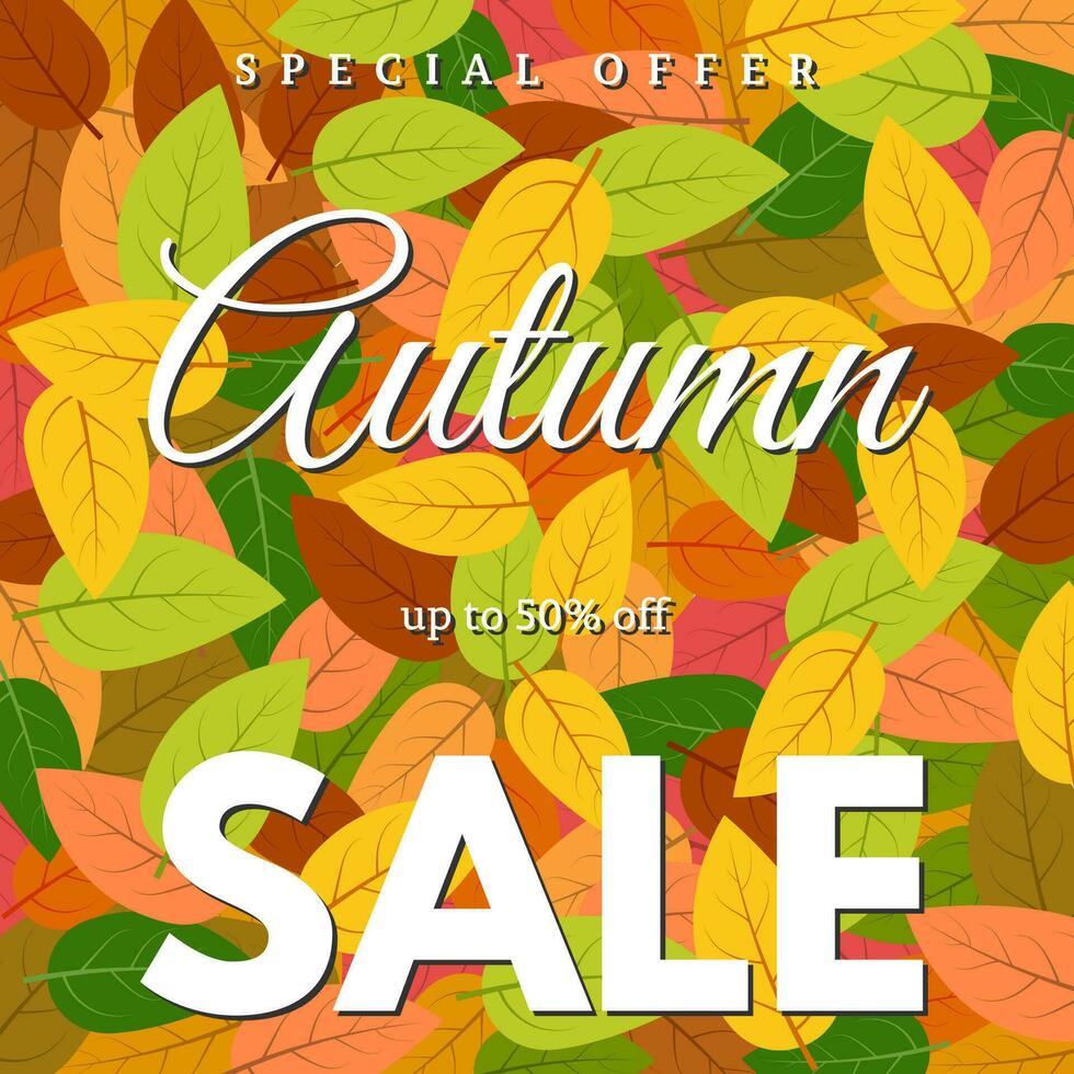 Autumn leaves and an inscription Autumn sale vector