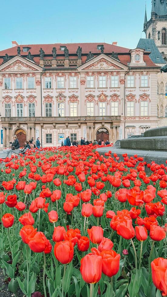 beautiful view of the city Prague photo