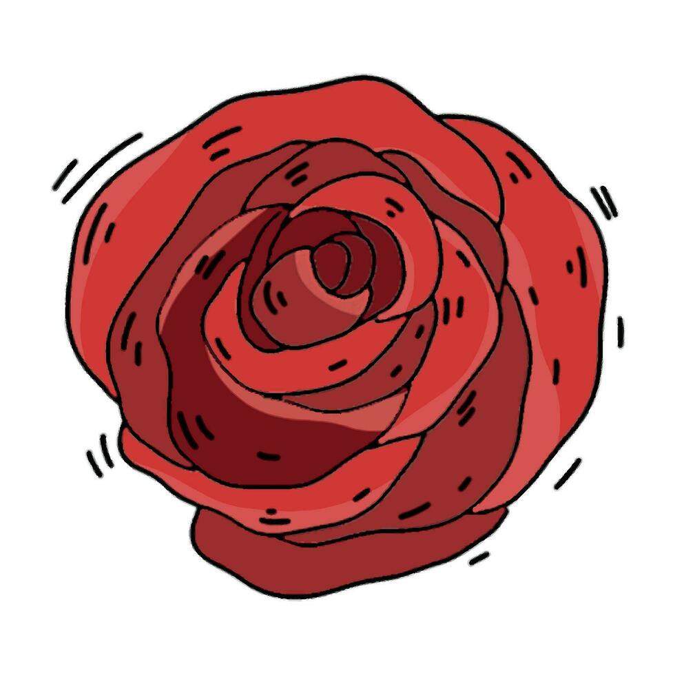 red  flower on a white background - a doodle style rose vector