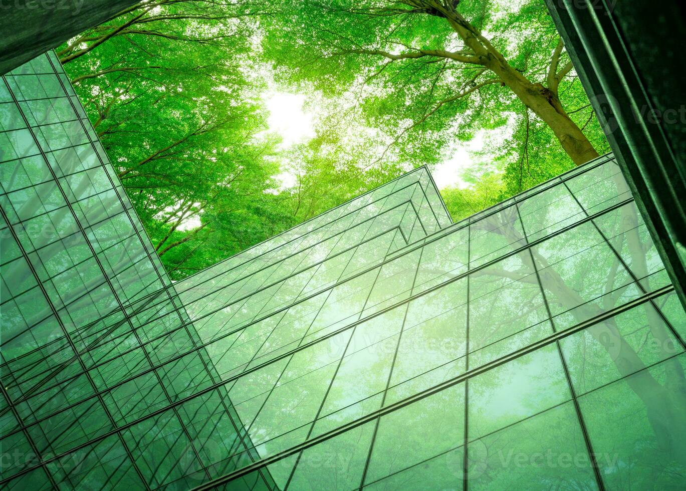 Eco-friendly building in the modern city. Sustainable glass office building with tree for reducing heat and carbon dioxide. Office building with green environment. Corporate building reduce CO2. photo