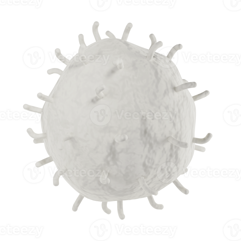 White blood cell 3d realistic icon analysis. Leukocytes medical illustration isolated transparent png