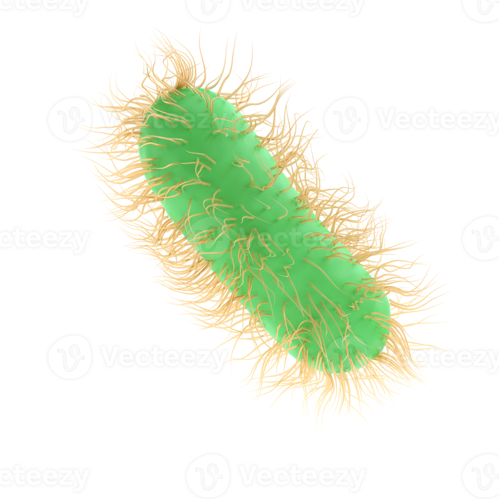 3d render illustration Escherichia Coli of Pathogenic bacterium bacteria medicine, salmonella typhosa with flagella microscopic view in fluid. Medical virus, scientific concept with microbe and germ png