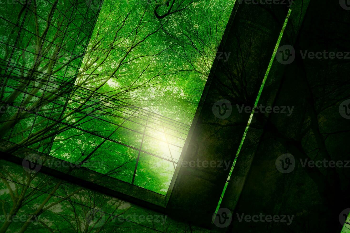Eco-friendly building in the modern city. Green tree branches with leaves and sustainable glass building for reducing heat and carbon dioxide. Office building with green environment. Go green concept. photo